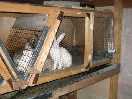 Клетки для кроликов своими руками ...