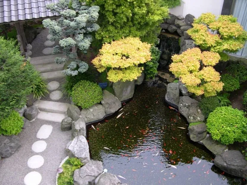 Японский декоративный пруд