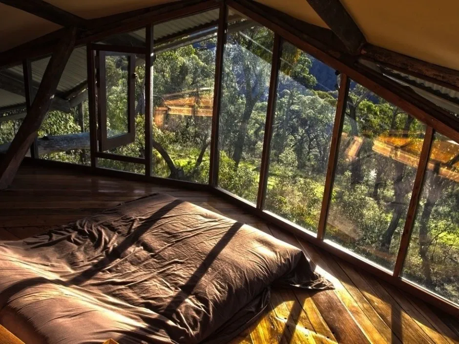 Домик в лесу с панорамными окнами