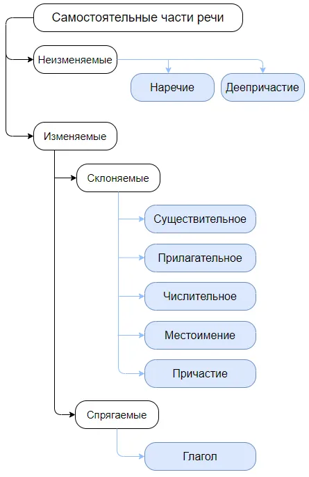 Самостоятельные части речи русского языка