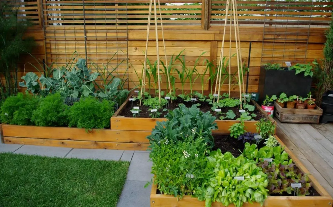 Красивые и стильные идеи оформления огорода на даче (70+ фото)
