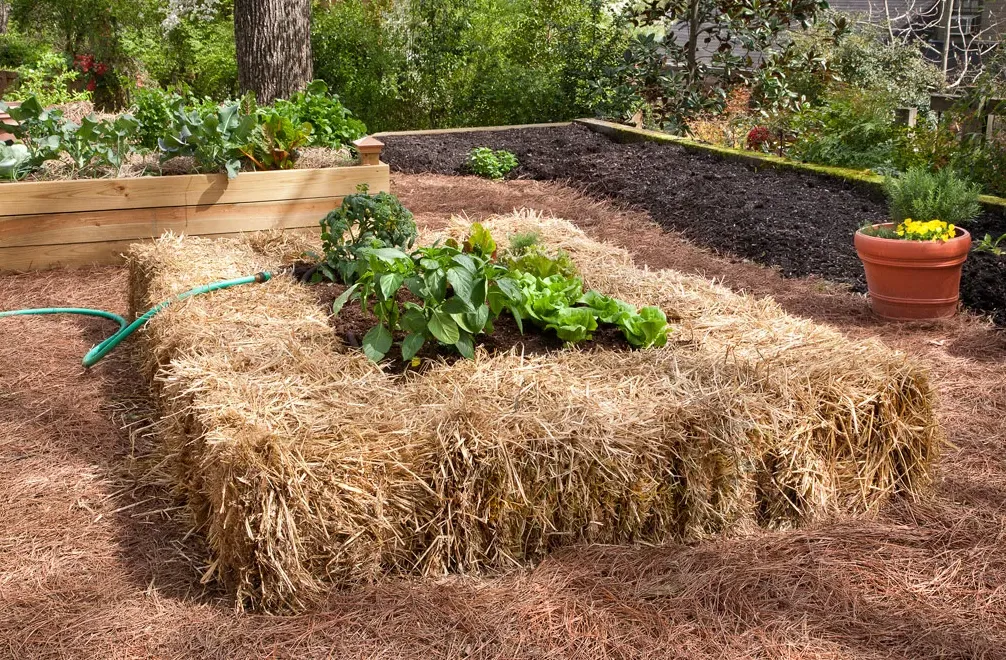 Красивые и стильные идеи оформления огорода на даче (70+ фото)